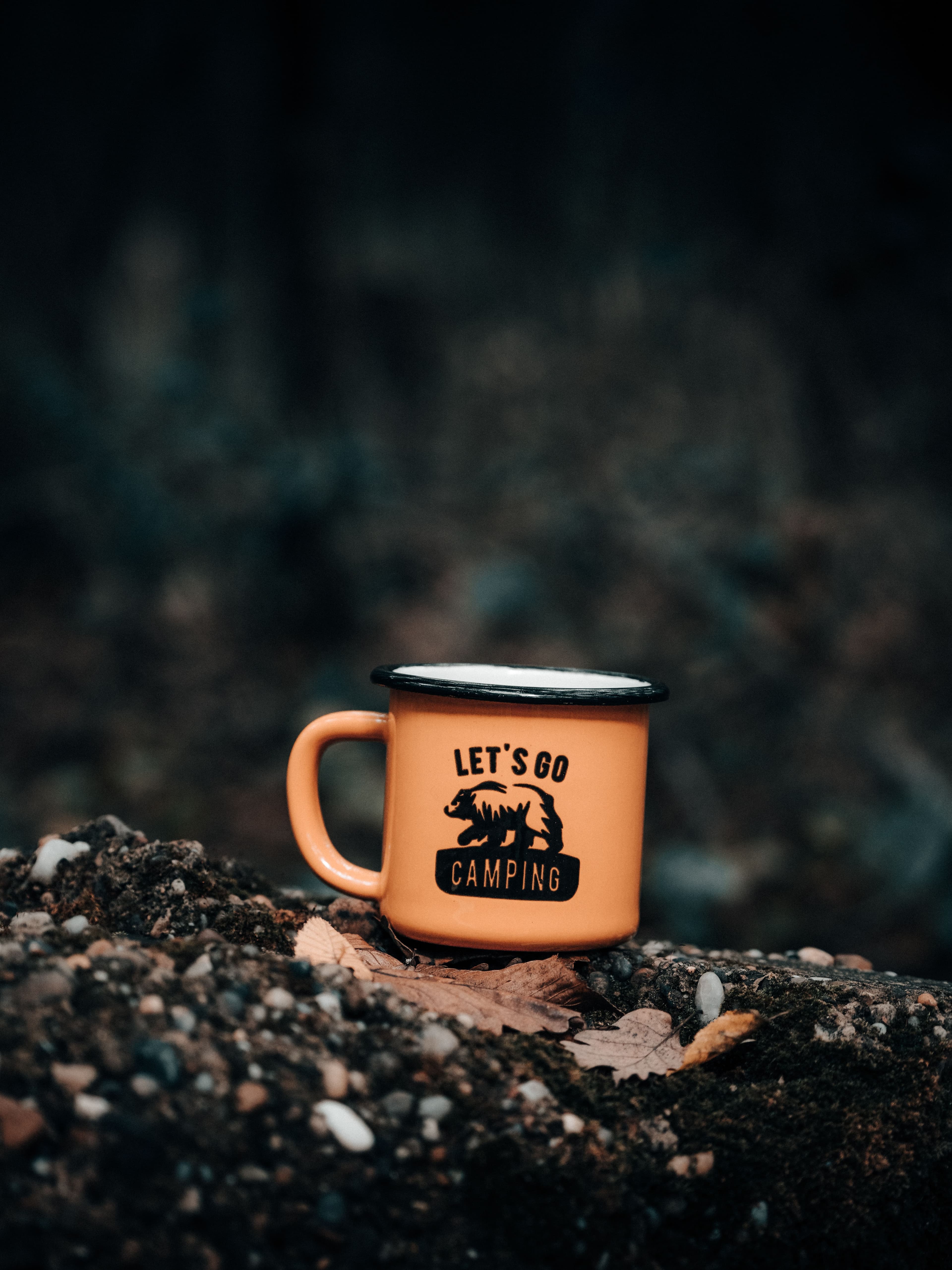 Enamel Mug, 300ml, White, Red Rim
