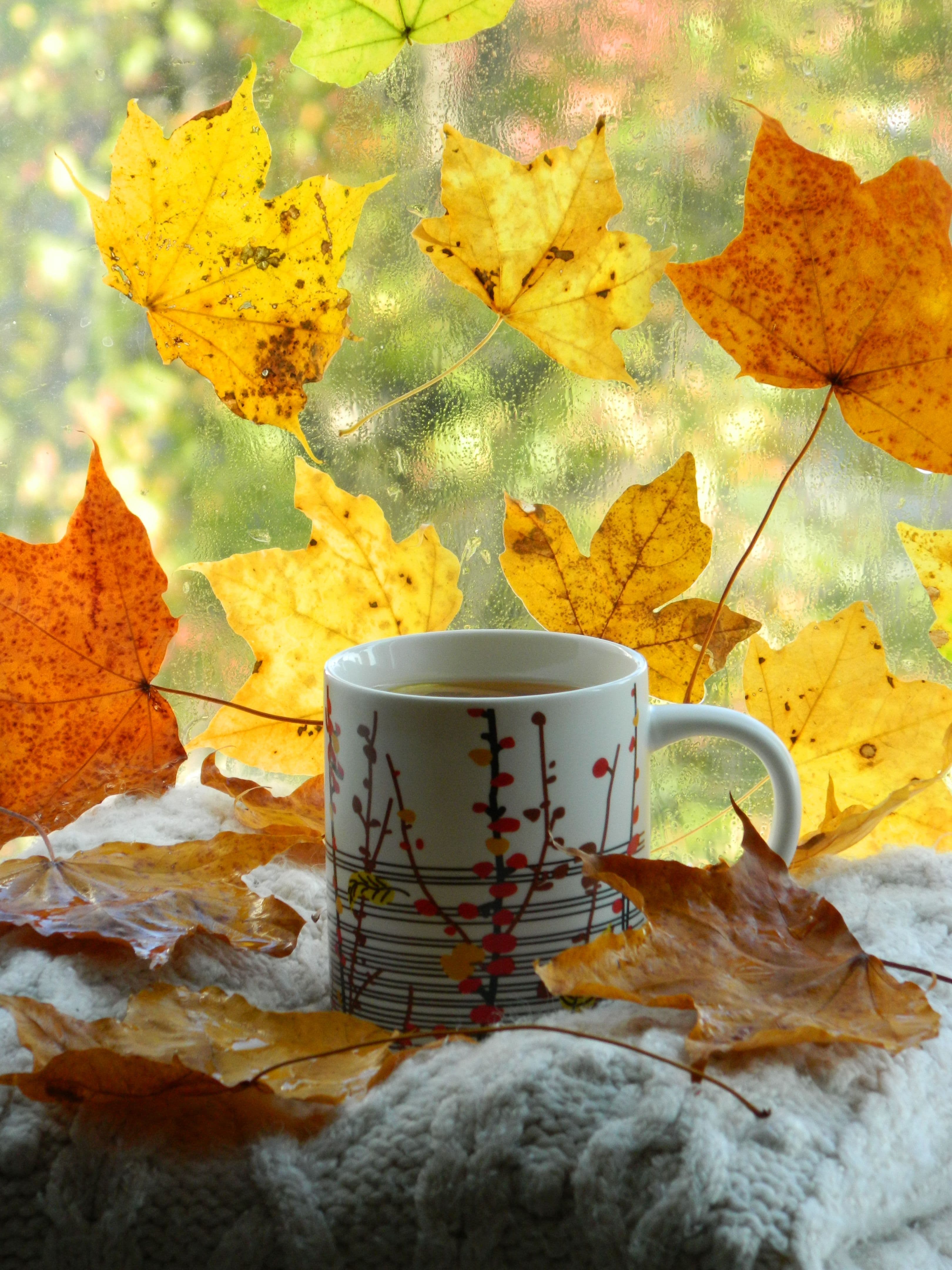 Magic Colour-Change Mug
