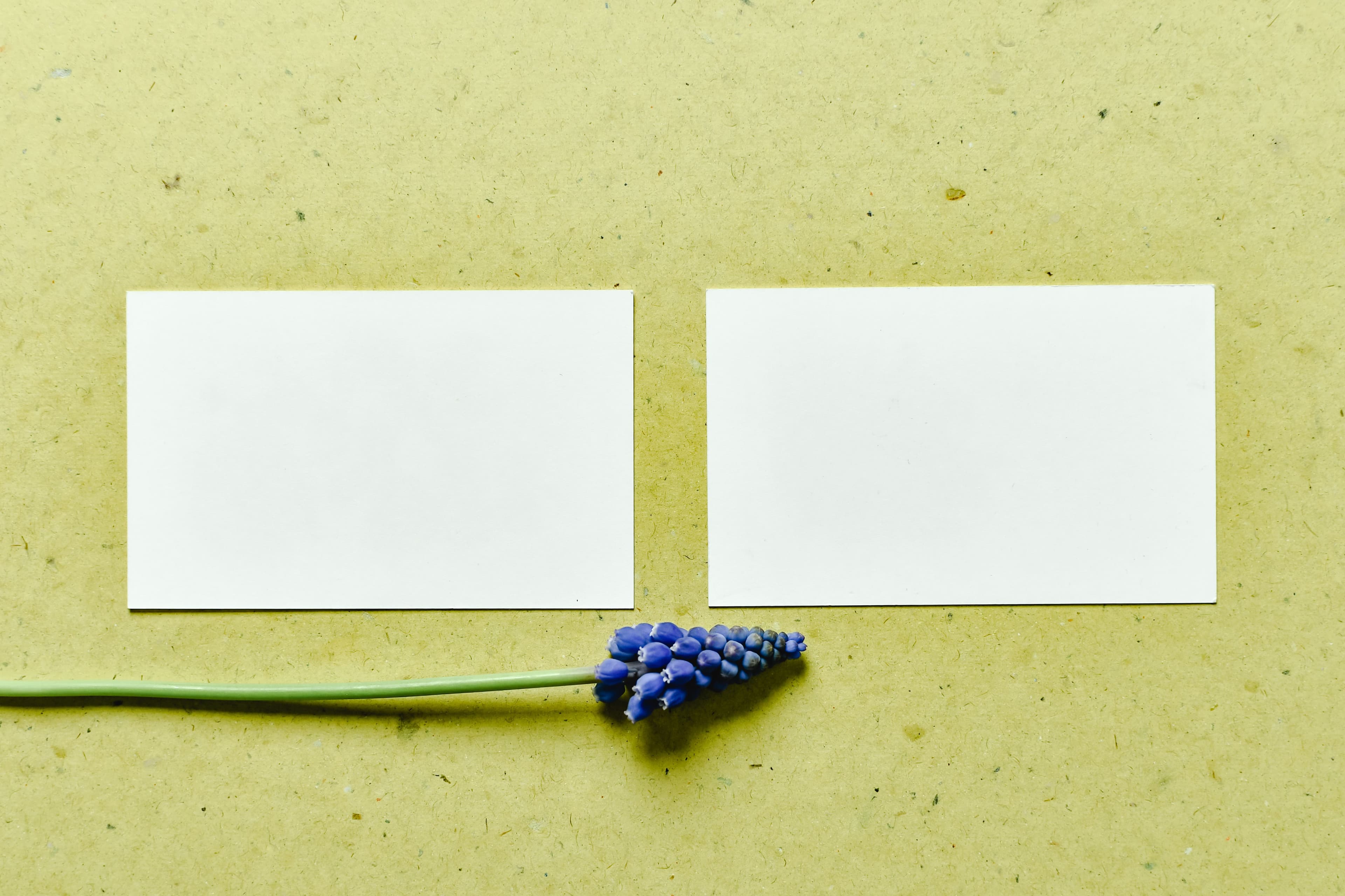 Leaf Cards, Natural Beige (100 pcs)