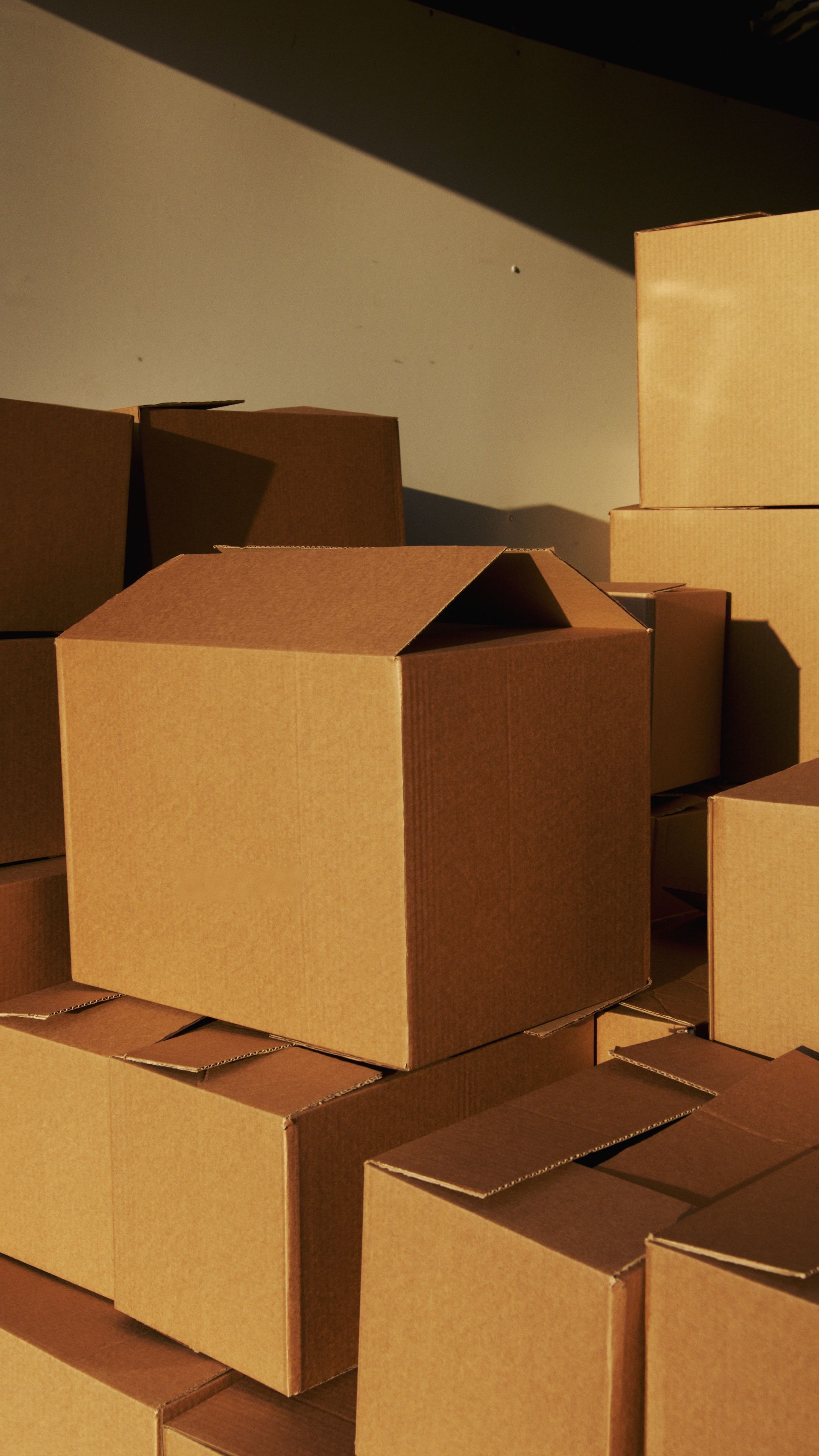 Custom Kraft Box (50 pcs)